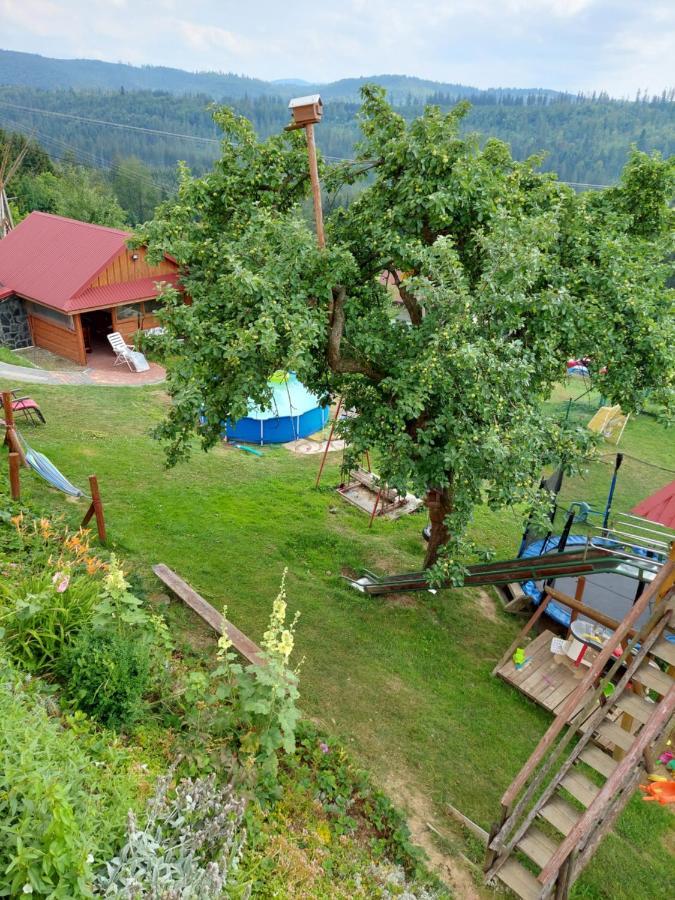 Domek Nad Lasem Koniaków Eksteriør bilde