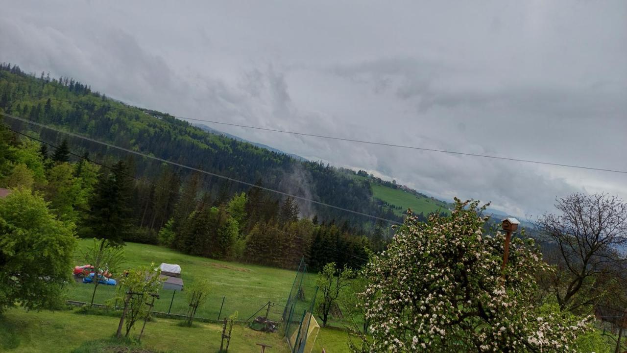 Domek Nad Lasem Koniaków Eksteriør bilde